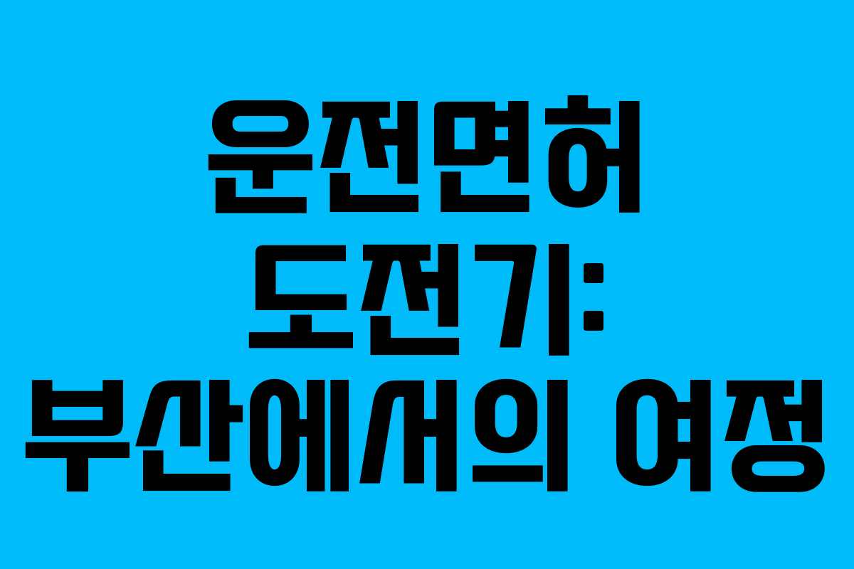 운전면허 도전기: 부산에서의 여정