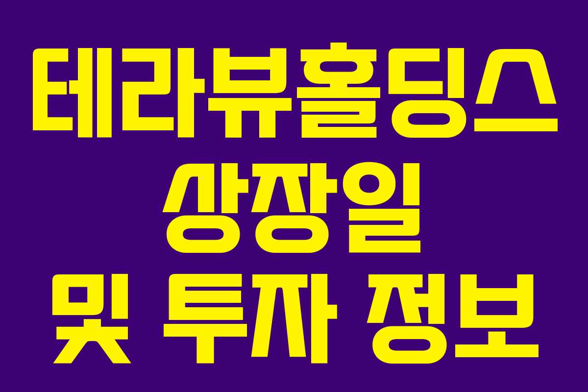 테라뷰홀딩스 상장일 및 투자 정보