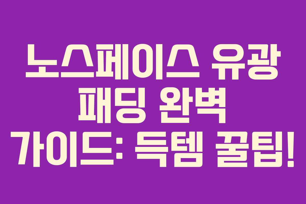 노스페이스 유광 패딩 완벽 가이드: 득템 꿀팁!