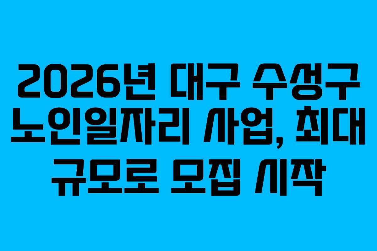 2026년 대구 수성구 노인일자리 사업, 최대 규모로 모집 시작