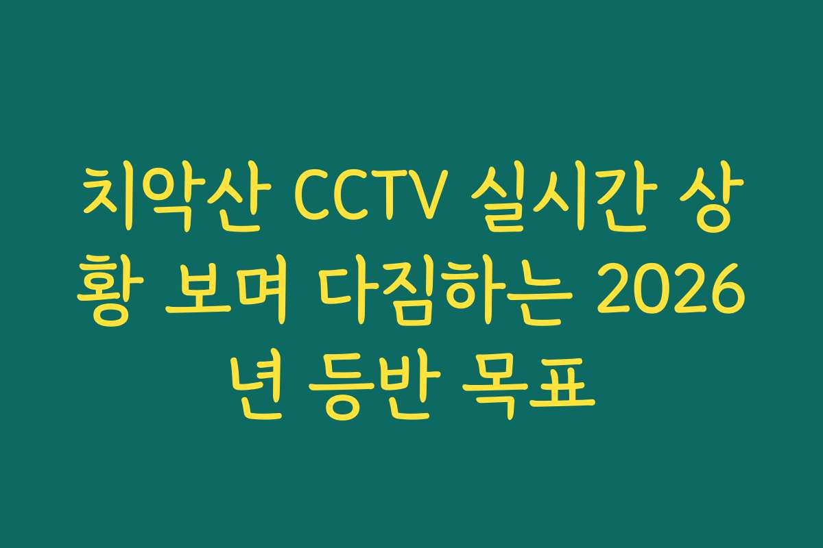 치악산 CCTV 실시간 상황 보며 다짐하는 2026년 등반 목표
