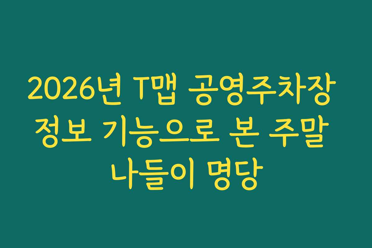 2026년 T맵 공영주차장 정보 기능으로 본 주말 나들이 명당