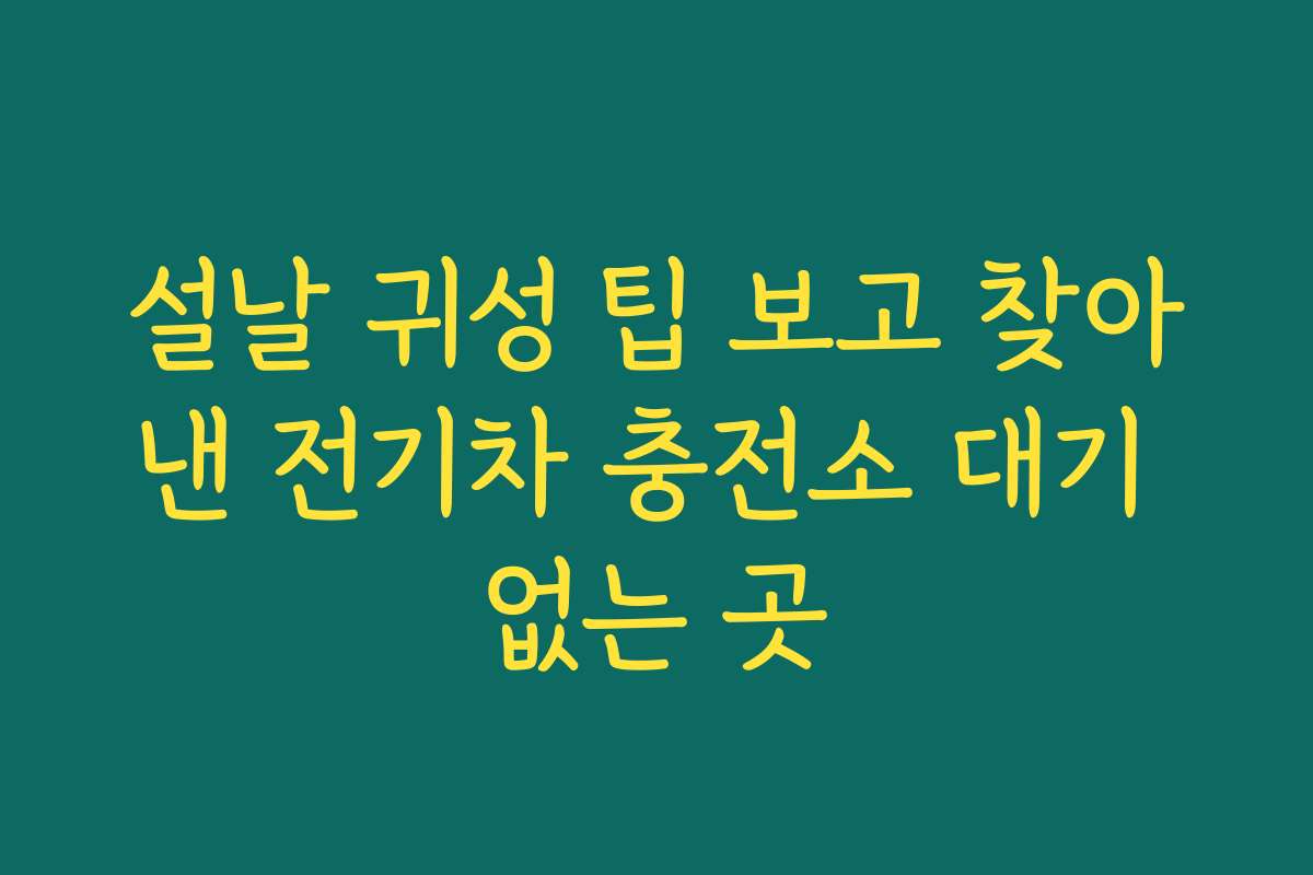 설날 귀성 팁 보고 찾아낸 전기차 충전소 대기 없는 곳