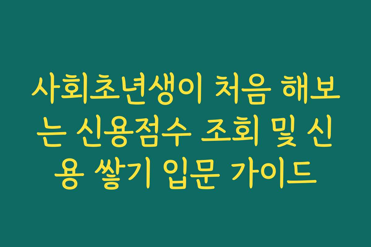 사회초년생이 처음 해보는 신용점수 조회 및 신용 쌓기 입문 가이드