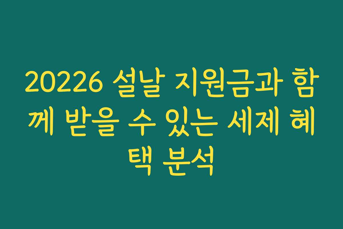 20226 설날 지원금과 함께 받을 수 있는 세제 혜택 분석