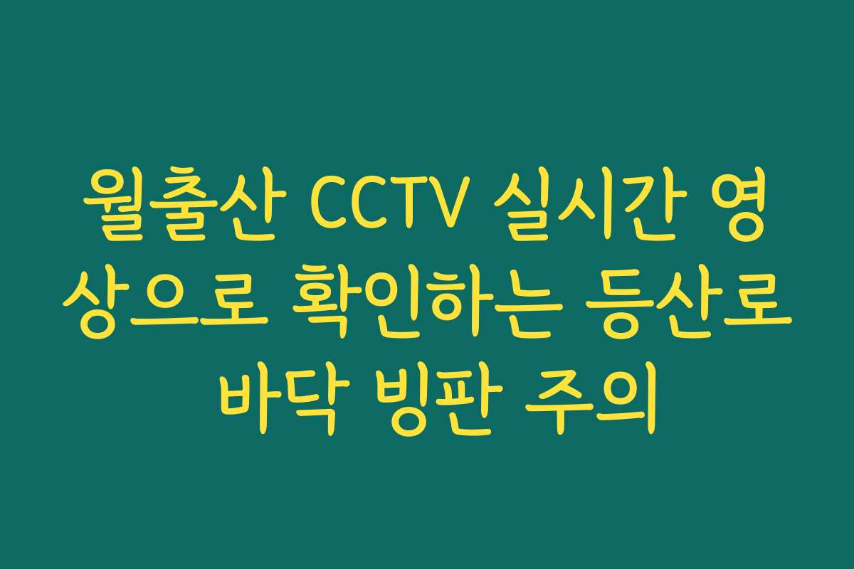 월출산 CCTV 실시간 영상으로 확인하는 등산로 바닥 빙판 주의