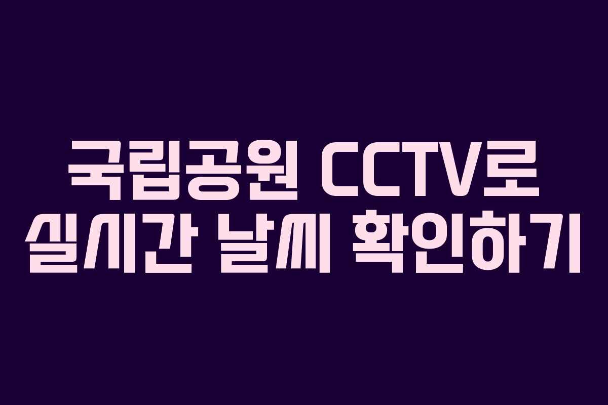 국립공원 CCTV로 실시간 날씨 확인하기