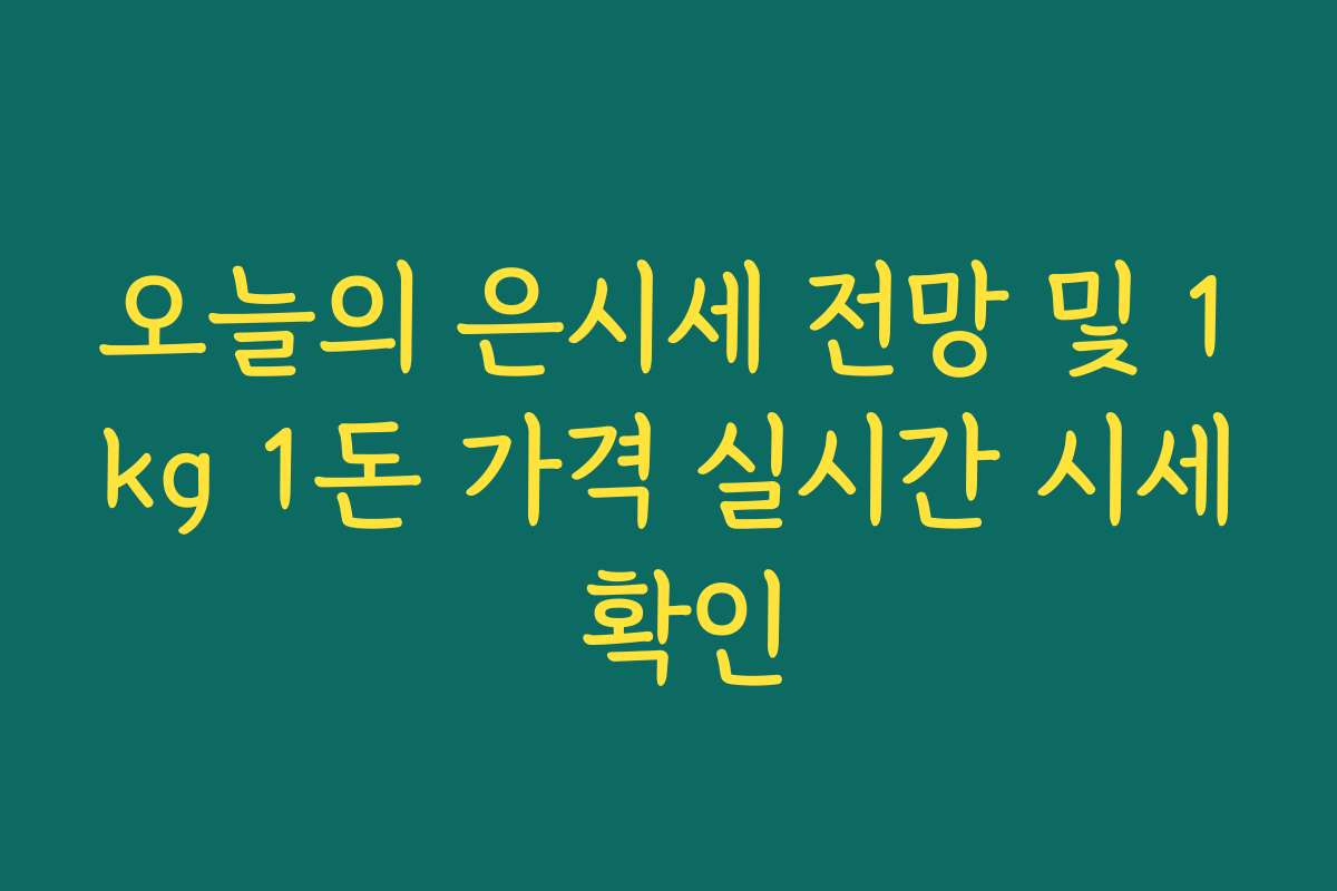 오늘의 은시세 전망 및 1kg 1돈 가격 실시간 시세 확인