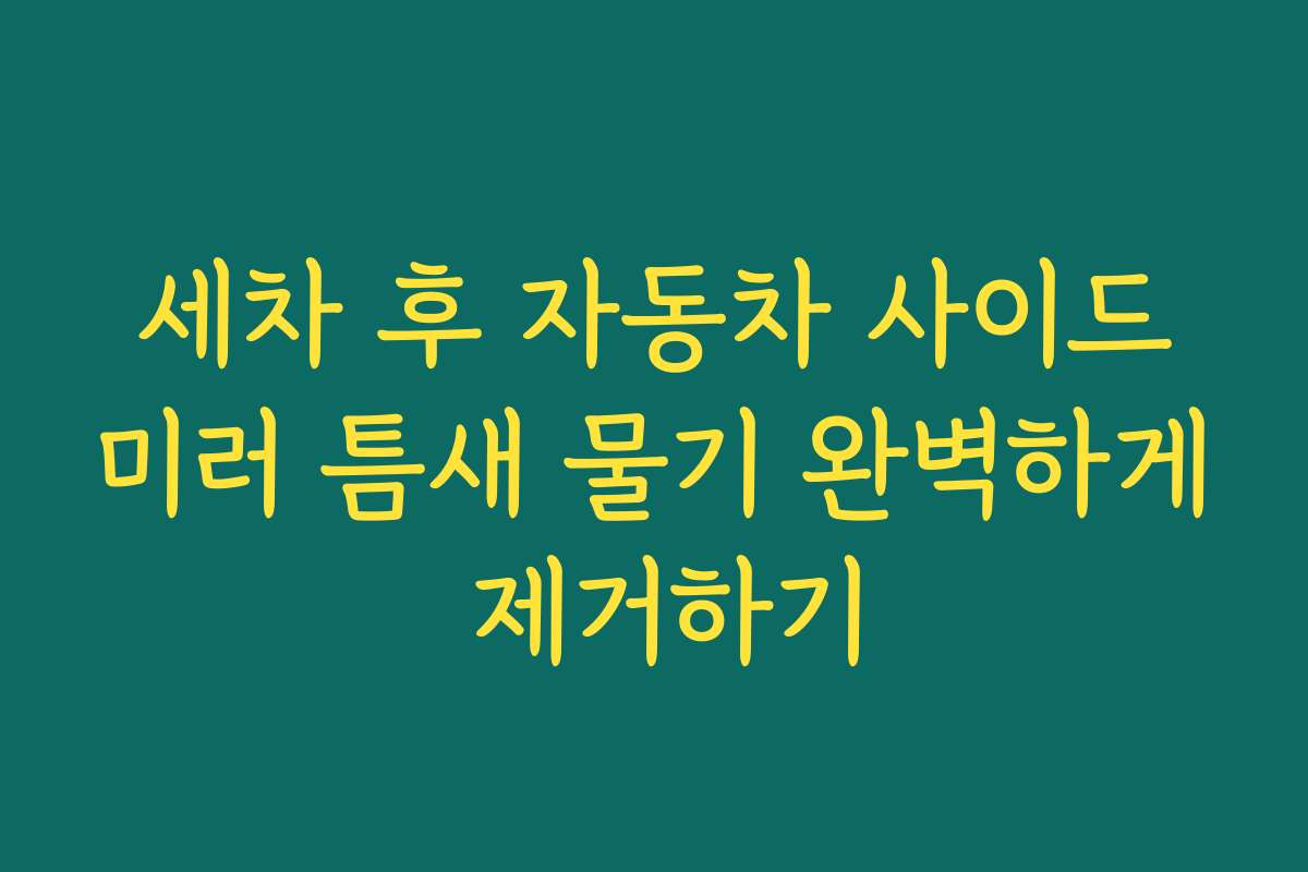 세차 후 자동차 사이드미러 틈새 물기 완벽하게 제거하기 세차 후 자동차 사이드미러 틈새 물기 완벽하게 제거하기