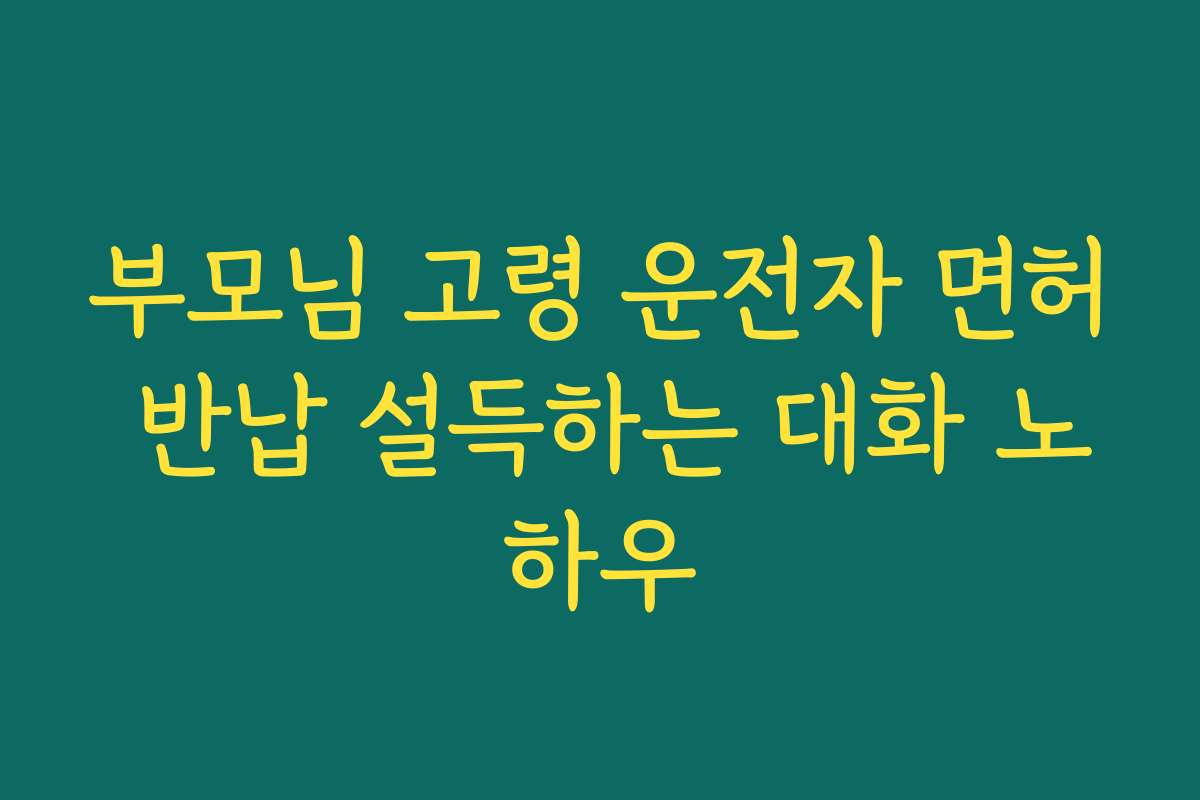 부모님 고령 운전자 면허 반납 설득하는 대화 노하우