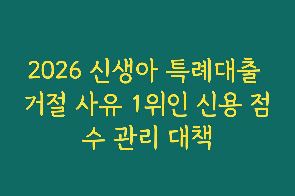 2026 신생아 특례대출 거절 사유 1위인 신용 점수 관리 대책