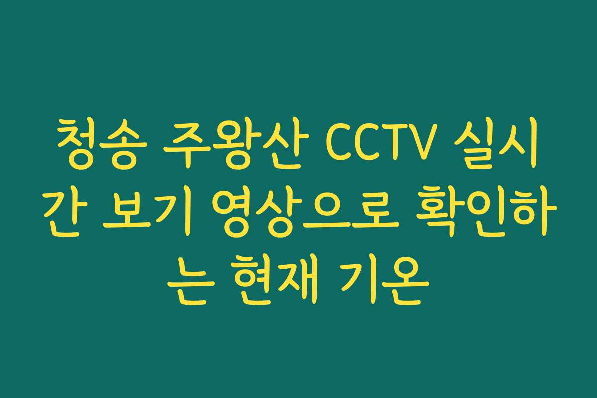 청송 주왕산 CCTV 실시간 보기 영상으로 확인하는 현재 기온