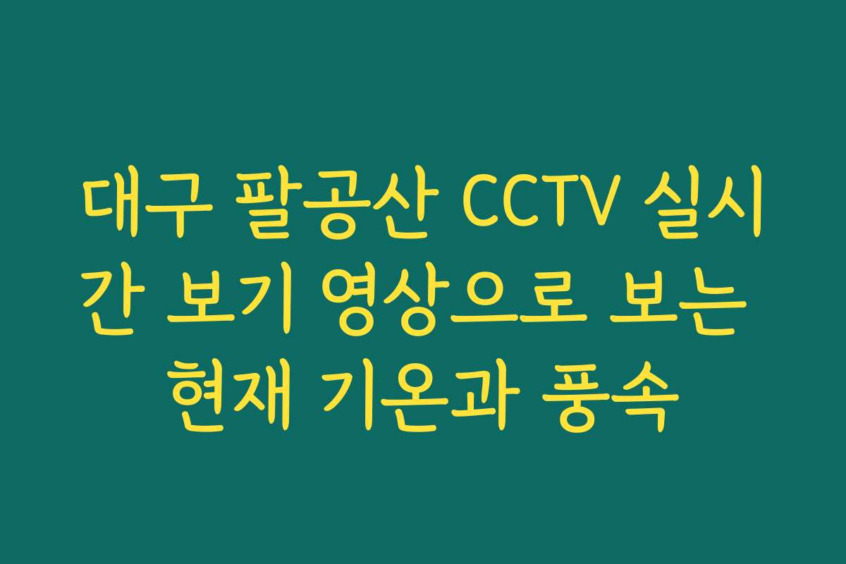 대구 팔공산 CCTV 실시간 보기 영상으로 보는 현재 기온과 풍속