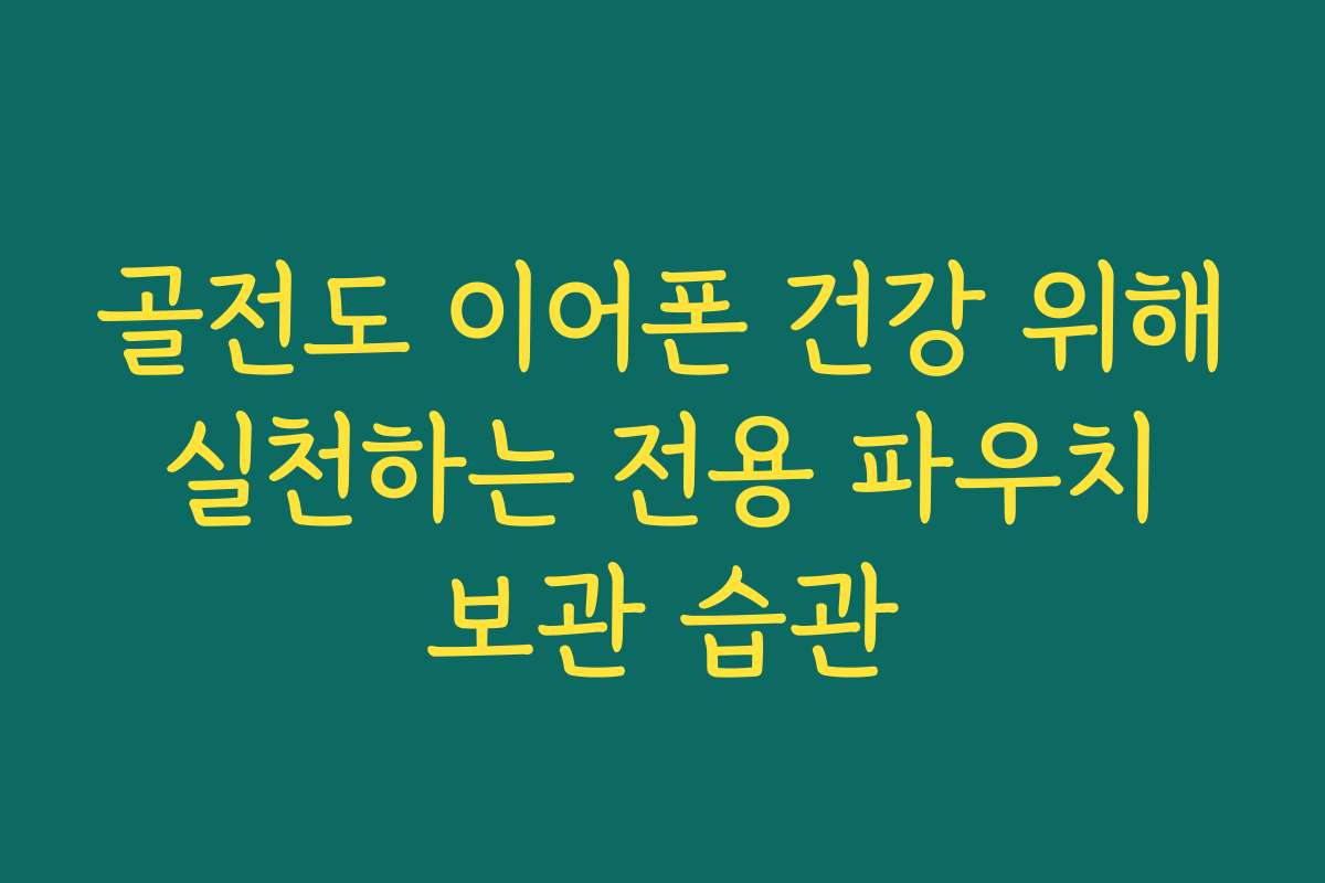 골전도 이어폰 건강 위해 실천하는 전용 파우치 보관 습관