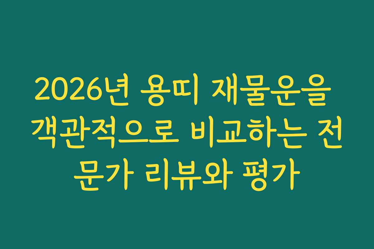 2026년 용띠 재물운을 객관적으로 비교하는 전문가 리뷰와 평가 2026년 용띠 재물운을 객관적으로 비교하는 전문가 리뷰와 평가