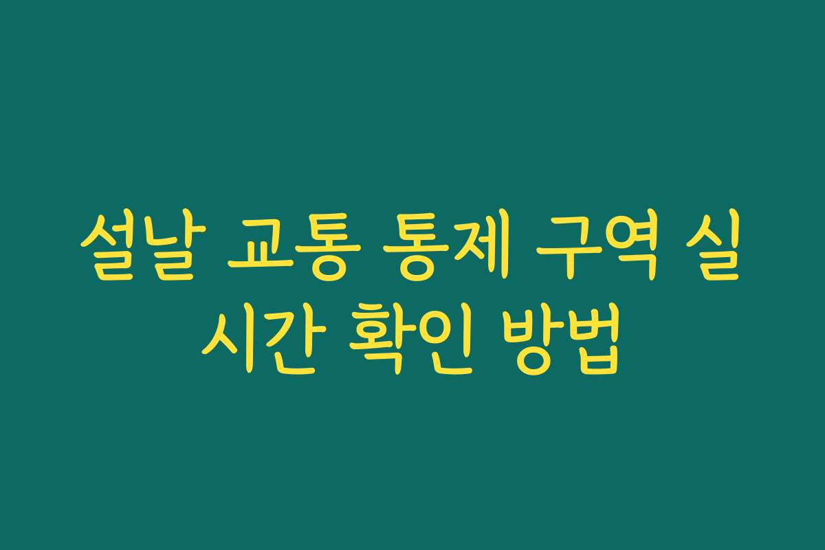설날 교통 통제 구역 실시간 확인 방법