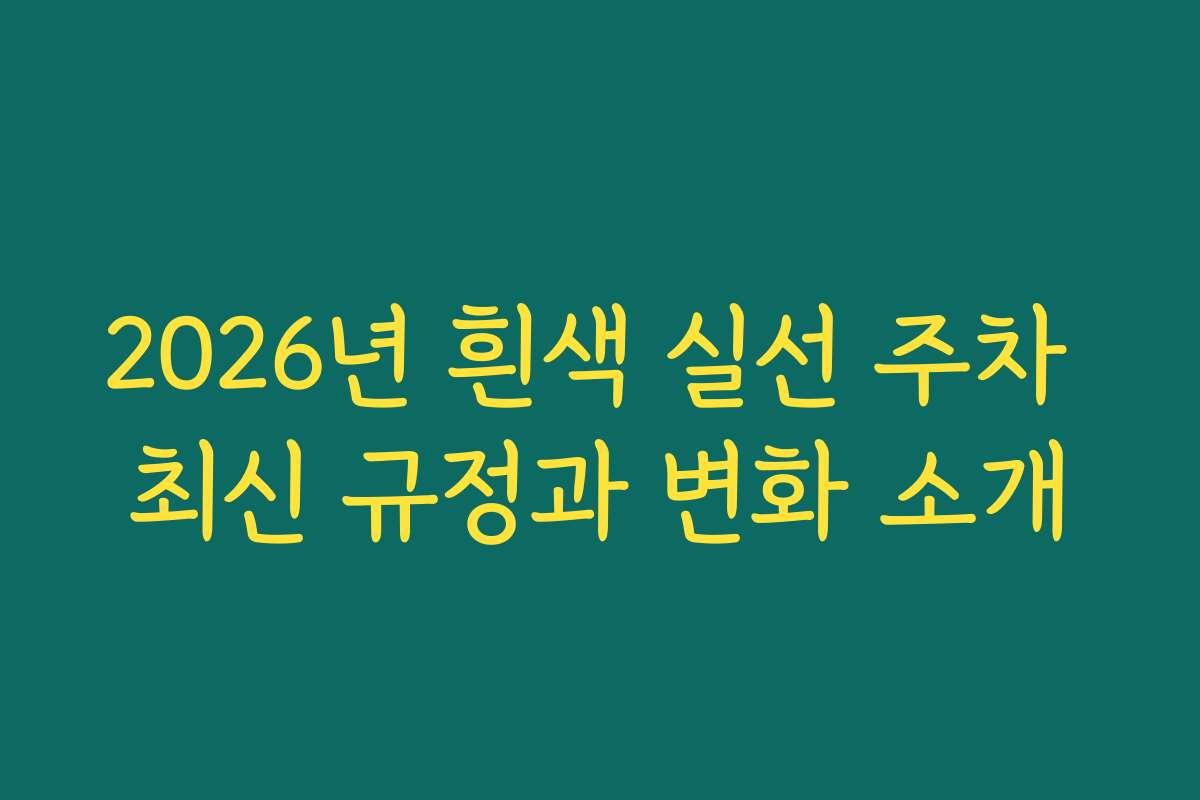 2026년 흰색 실선 주차 최신 규정과 변화 소개 2026년 흰색 실선 주차 최신 규정과 변화 소개