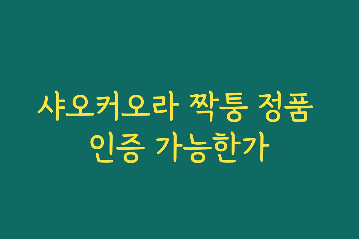 샤오커오라 짝퉁 정품 인증 가능한가