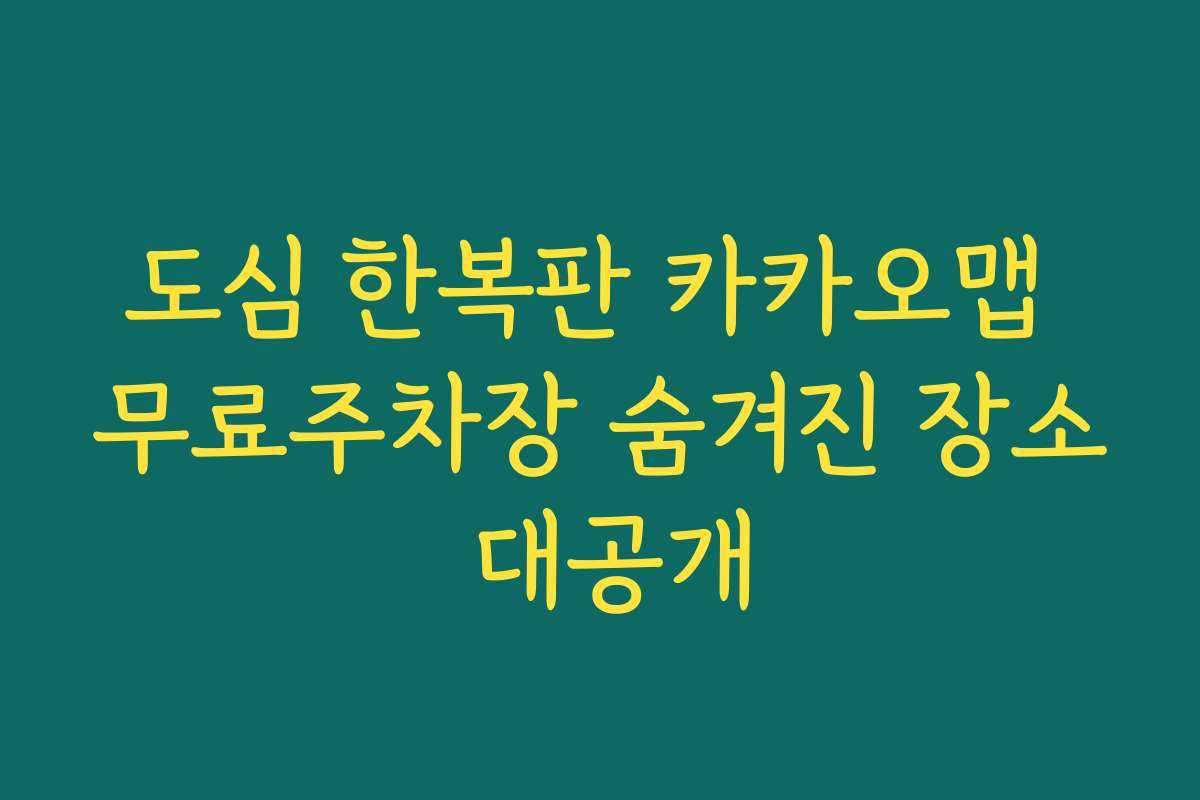 도심 한복판 카카오맵 무료주차장 숨겨진 장소 대공개