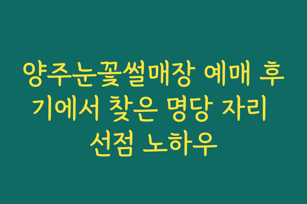 양주눈꽃썰매장 예매 후기에서 찾은 명당 자리 선점 노하우