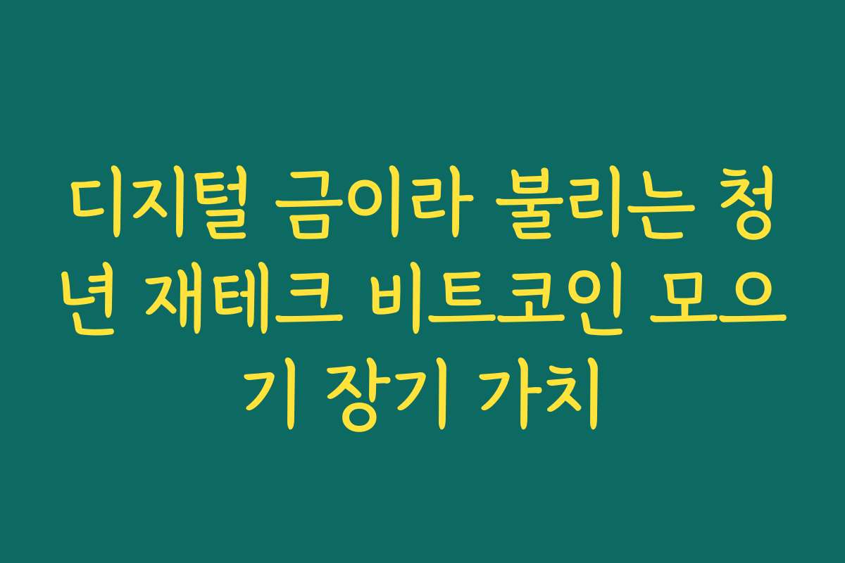 디지털 금이라 불리는 청년 재테크 비트코인 모으기 장기 가치