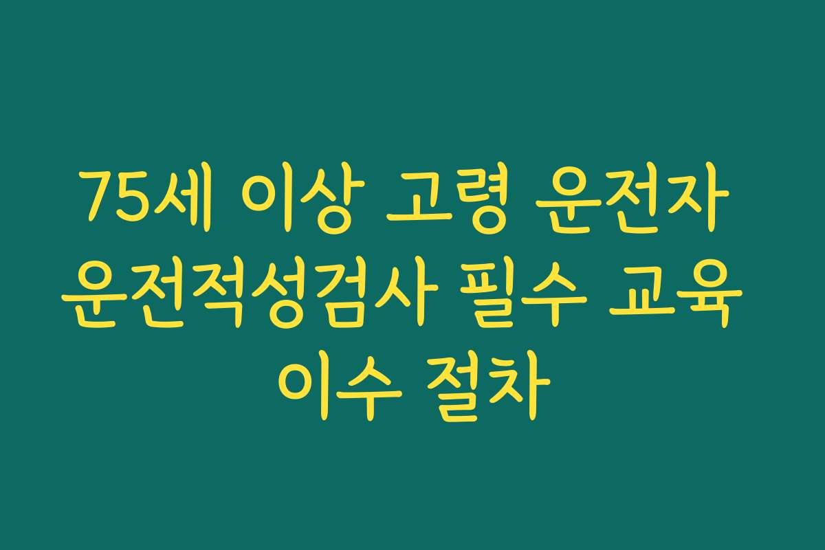 75세 이상 고령 운전자 운전적성검사 필수 교육 이수 절차