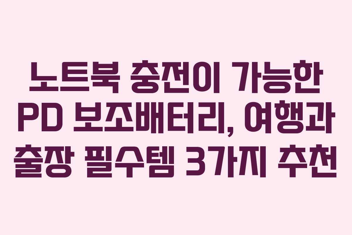 노트북 충전이 가능한 PD 보조배터리, 여행과 출장 필수템 3가지 추천
