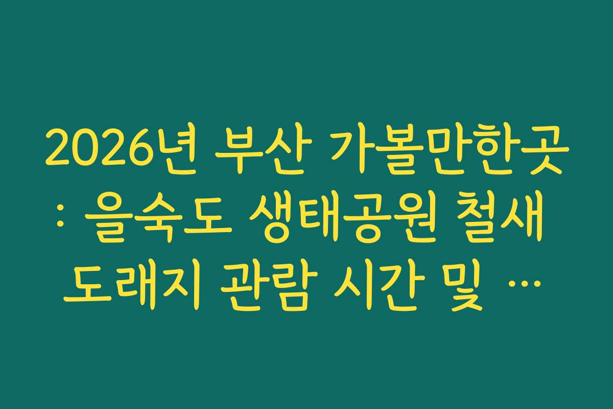 2026년 부산 가볼만한곳: 을숙도 생태공원 철새 도래지 관람 시간 및 망원경 대여법