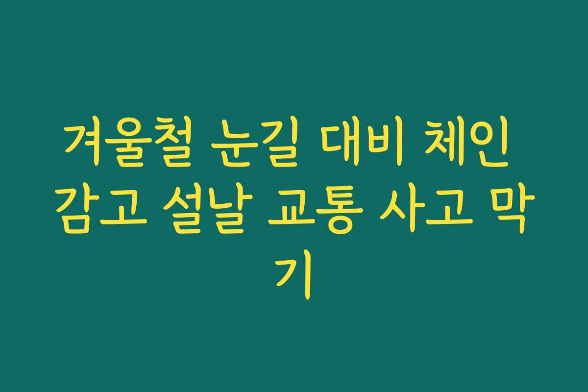 겨울철 눈길 대비 체인 감고 설날 교통 사고 막기