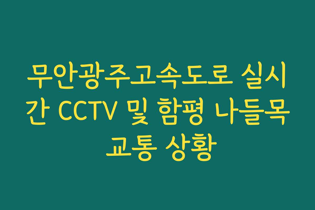 무안광주고속도로 실시간 CCTV 및 함평 나들목 교통 상황