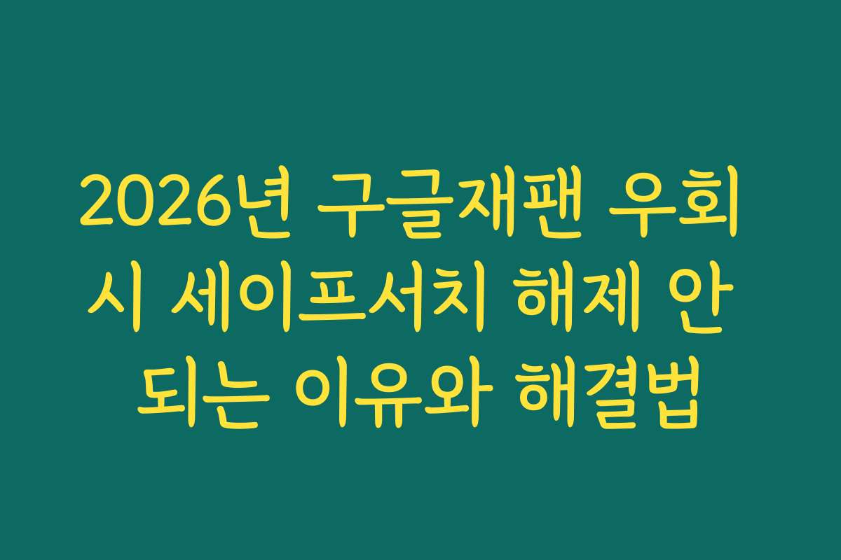 2026년 구글재팬 우회 시 세이프서치 해제 안 되는 이유와 해결법