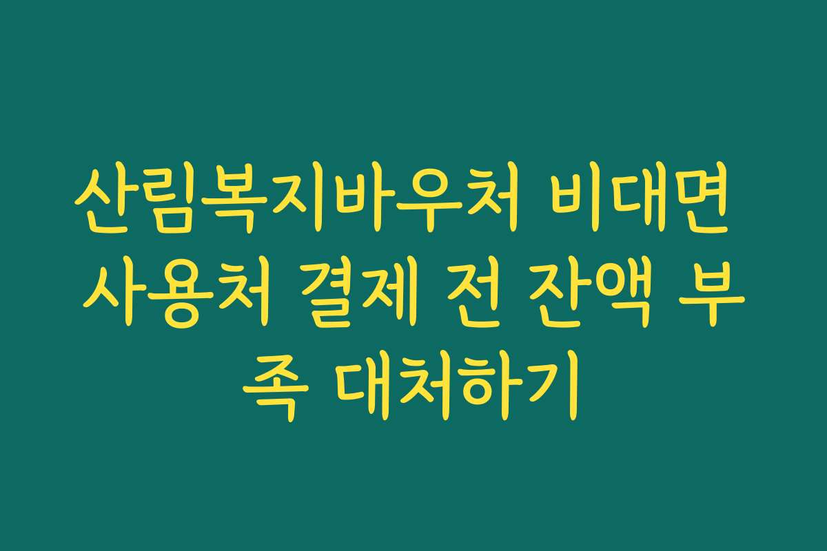 산림복지바우처 비대면 사용처 결제 전 잔액 부족 대처하기