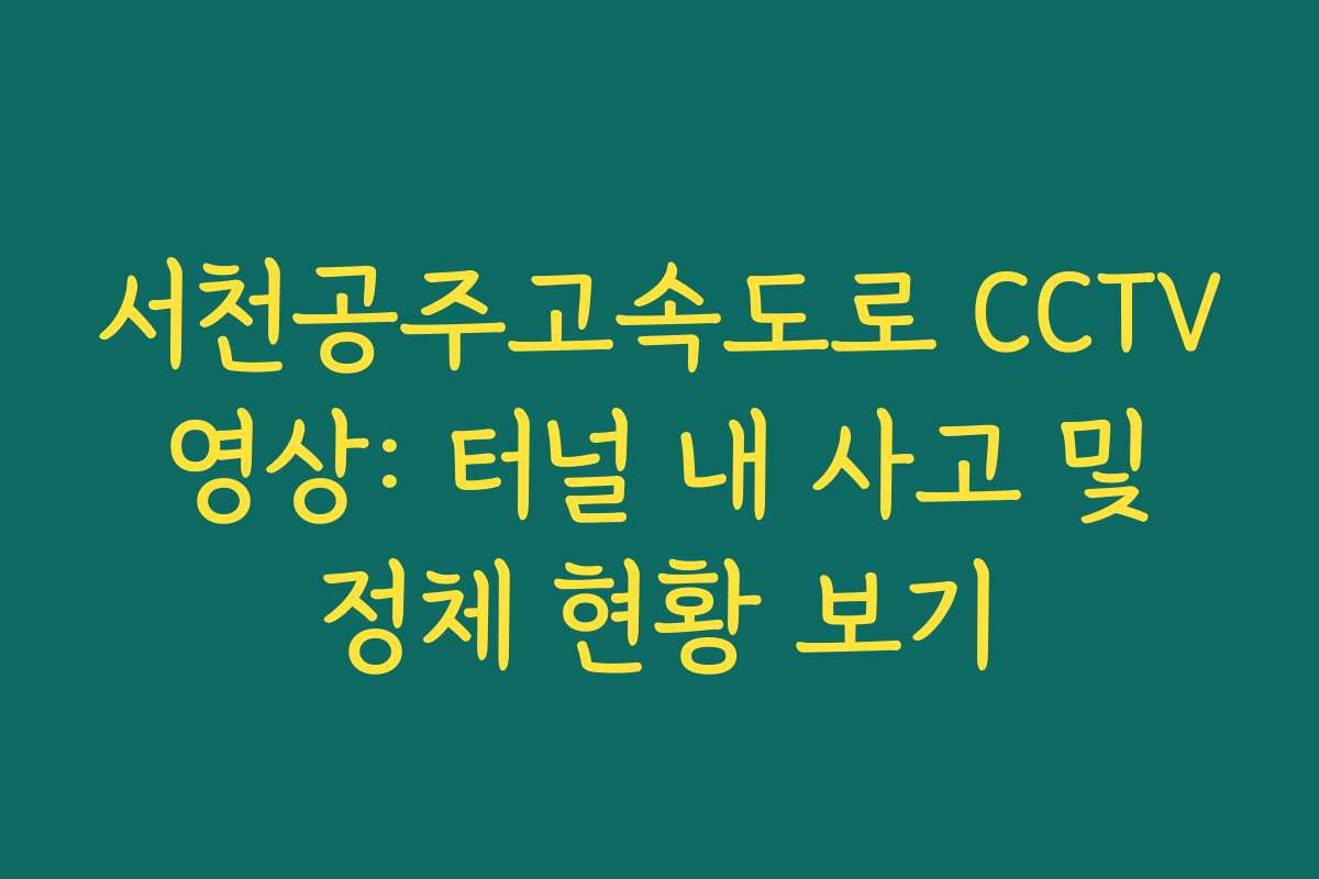 서천공주고속도로 CCTV 영상: 터널 내 사고 및 정체 현황 보기 서천공주고속도로 CCTV 영상: 터널 내 사고 및 정체 현황 보기
