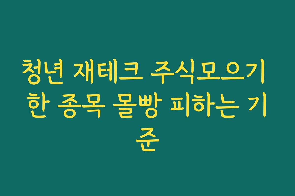청년 재테크 주식모으기 한 종목 몰빵 피하는 기준