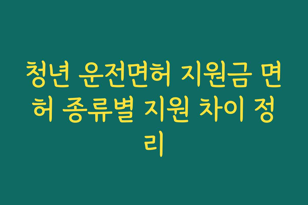 청년 운전면허 지원금 면허 종류별 지원 차이 정리 청년 운전면허 지원금 면허 종류별 지원 차이 정리