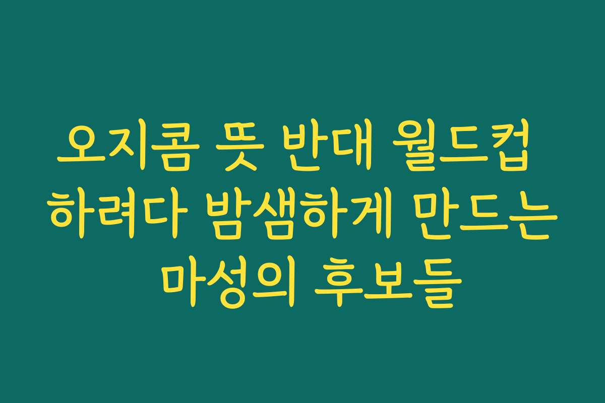 오지콤 뜻 반대 월드컵 하려다 밤샘하게 만드는 마성의 후보들