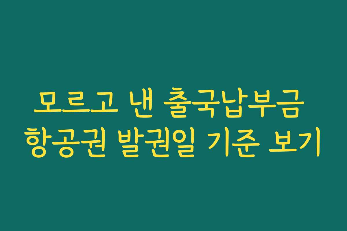 모르고 낸 출국납부금 항공권 발권일 기준 보기 모르고 낸 출국납부금 항공권 발권일 기준 보기