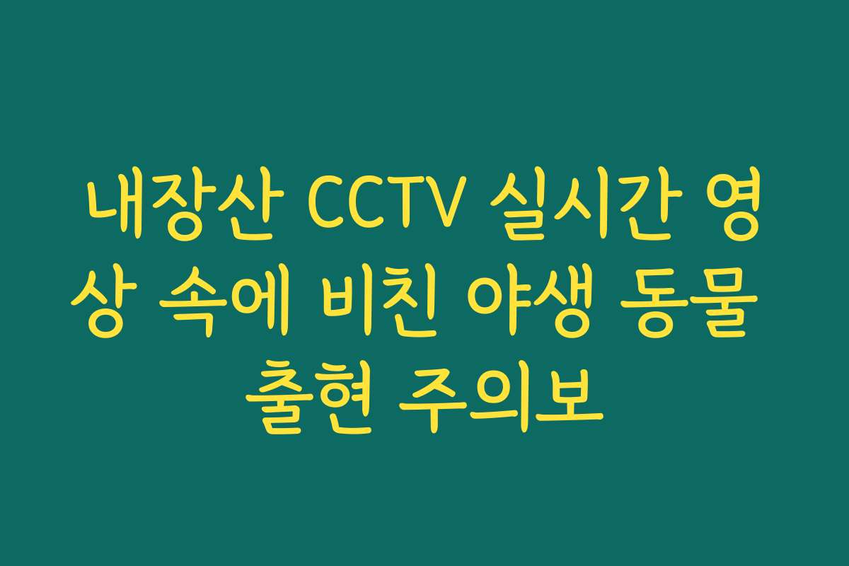 내장산 CCTV 실시간 영상 속에 비친 야생 동물 출현 주의보