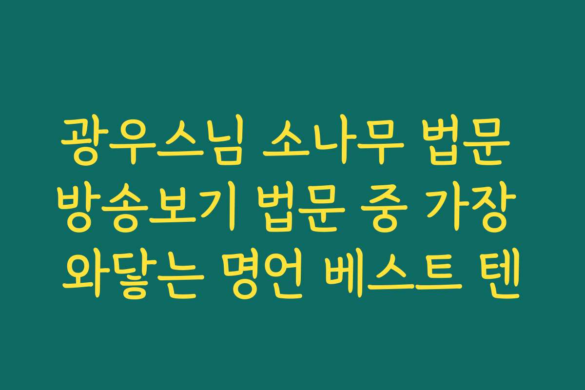 광우스님 소나무 법문 방송보기 법문 중 가장 와닿는 명언 베스트 텐