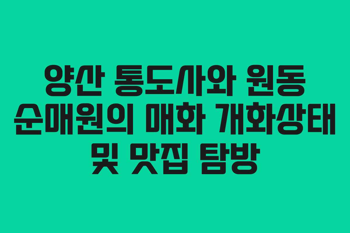 양산 통도사와 원동 순매원의 매화 개화상태 및 맛집 탐방 양산 통도사와 원동 순매원의 매화 개화상태 및 맛집 탐방