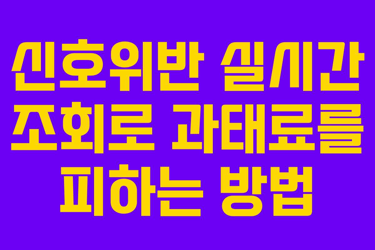 신호위반 실시간 조회로 과태료를 피하는 방법