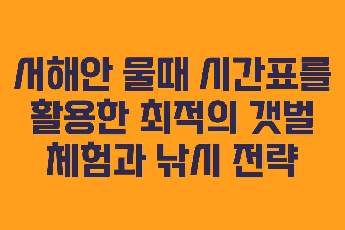 서해안 물때 시간표를 활용한 최적의 갯벌 체험과 낚시 전략