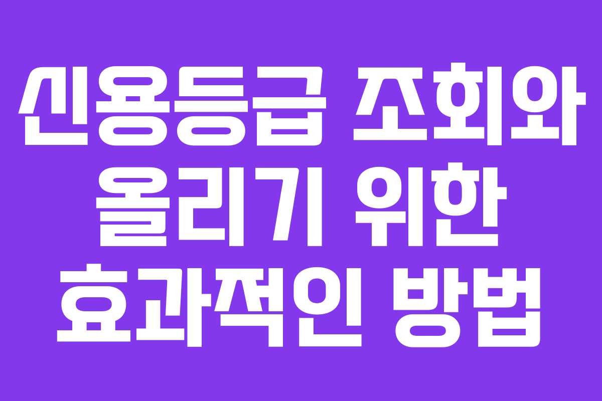 신용등급 조회와 올리기 위한 효과적인 방법