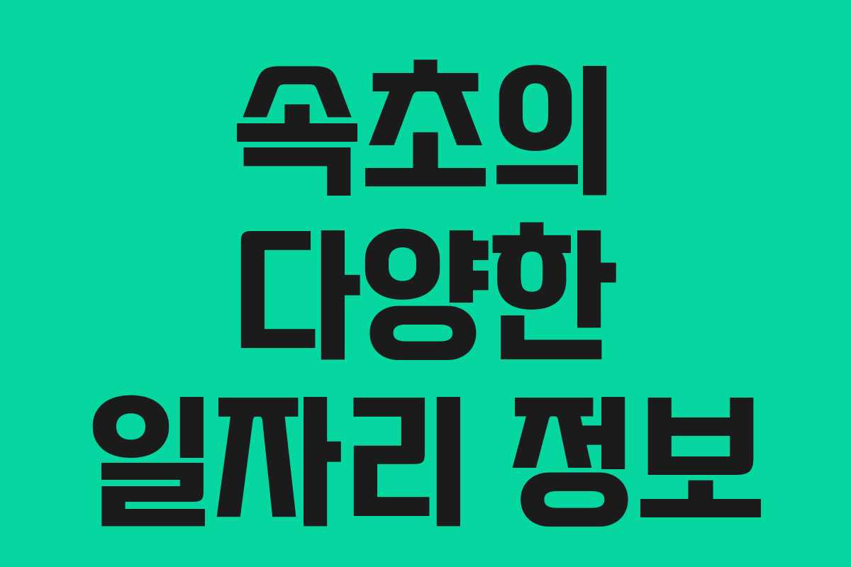 속초의 다양한 일자리 정보