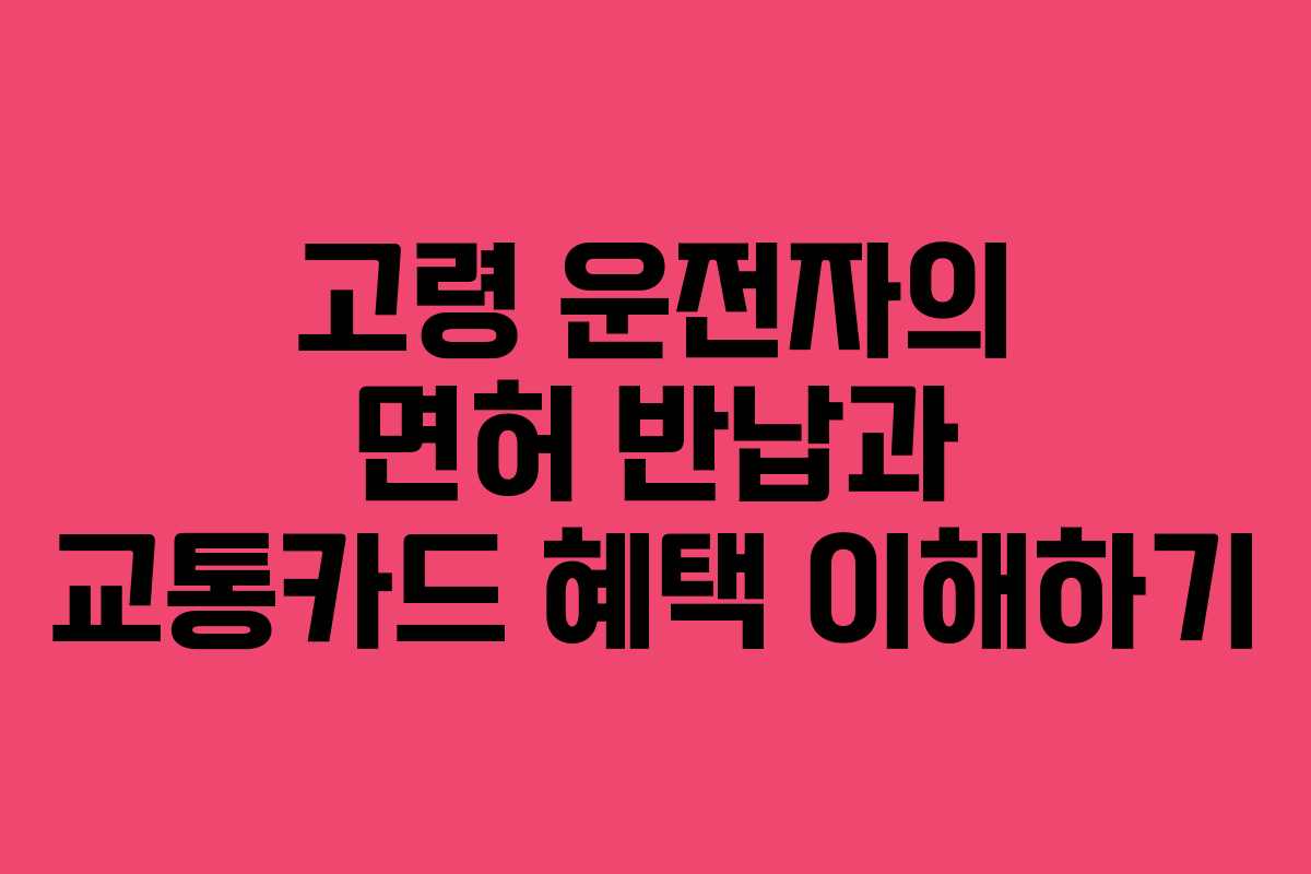 고령 운전자의 면허 반납과 교통카드 혜택 이해하기