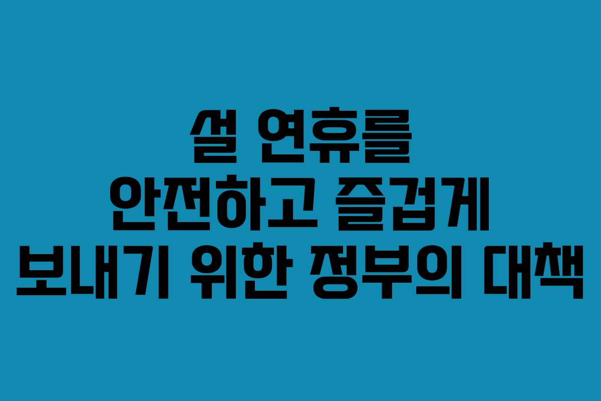 설 연휴를 안전하고 즐겁게 보내기 위한 정부의 대책