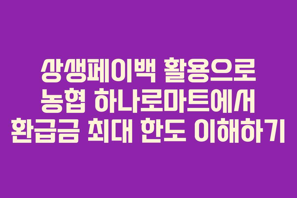 상생페이백 활용으로 농협 하나로마트에서 환급금 최대 한도 이해하기