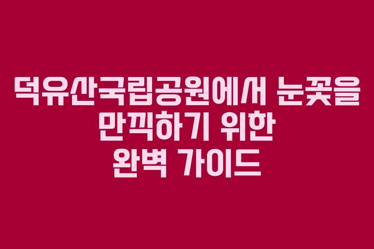 덕유산국립공원에서 눈꽃을 만끽하기 위한 완벽 가이드