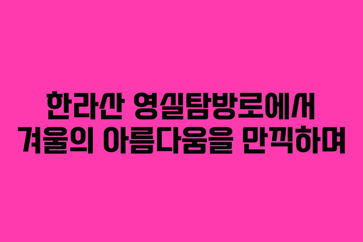 한라산 영실탐방로에서 겨울의 아름다움을 만끽하며