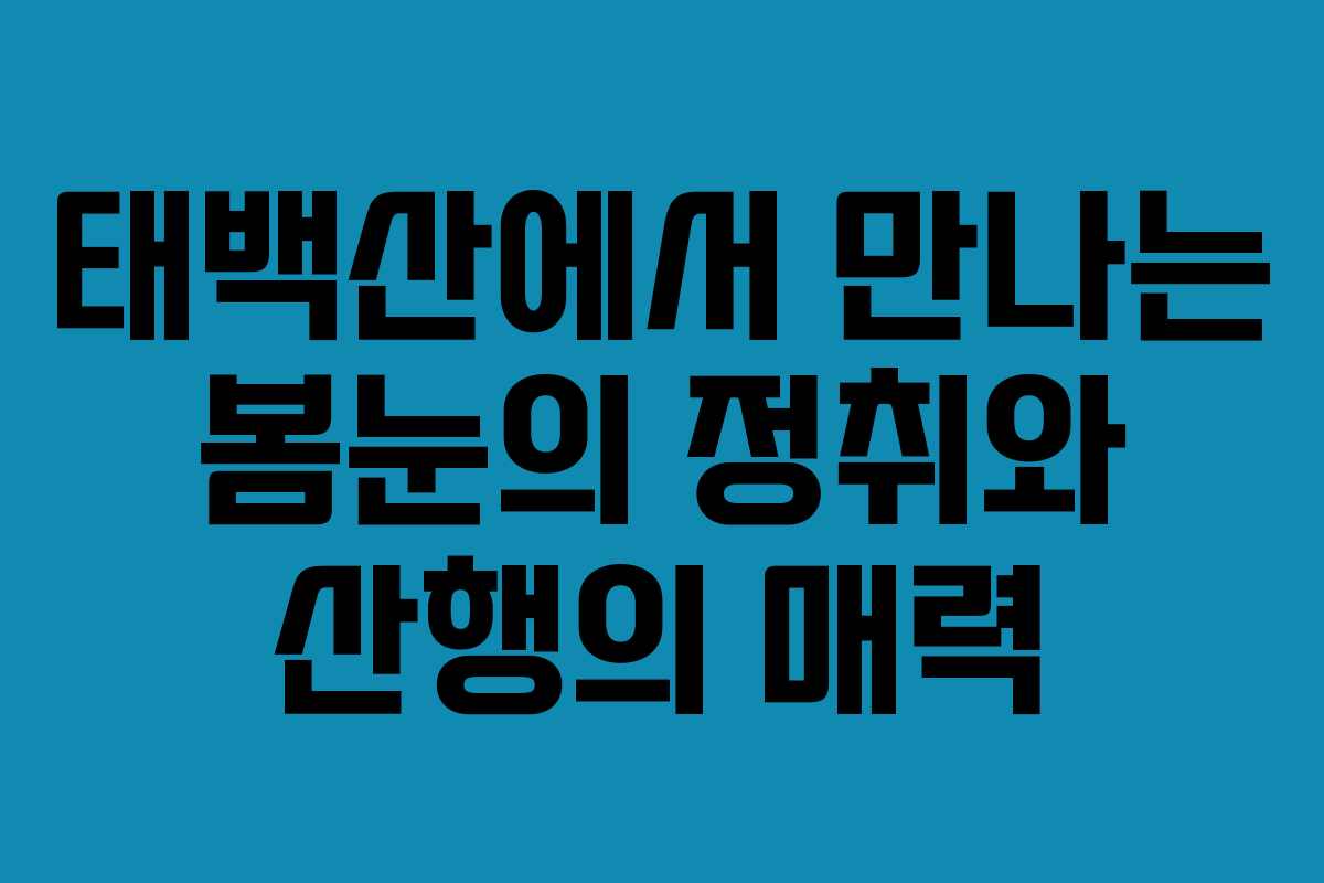 태백산에서 만나는 봄눈의 정취와 산행의 매력